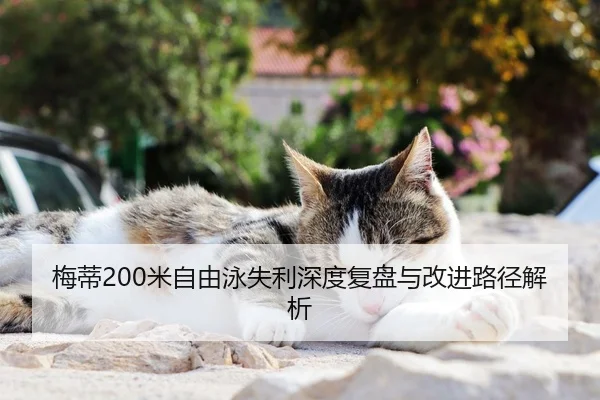 梅蒂200米自由泳失利深度复盘与改进路径解析